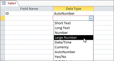 ตัวอย่างเลือกชนิดข้อมูล Large Number ใน Access